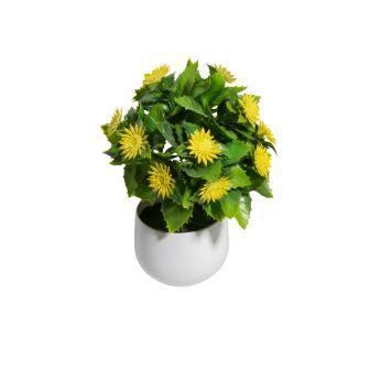 FLORES CON MACETA 10 X 20