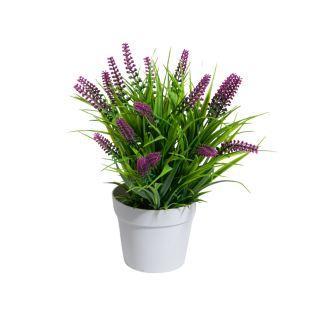 FLORES CON MACETA 8 X 21