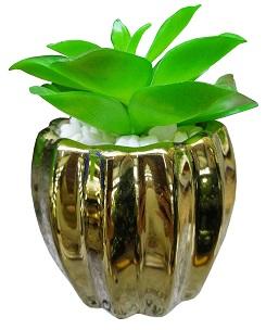 FLORES CON MACETA 7 X 7.5