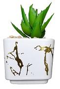 FLORES CON MACETA 8 X 8 X 7