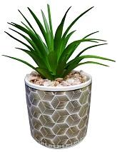 FLORES CON MACETA 8 X 7.5