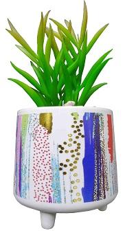 FLORES CON MACETA 8 X 8.5