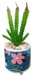 FLORES CON MACETA 8.5 X 8.5