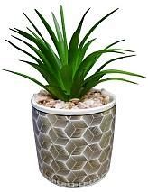 FLORES CON MACETA 8 X 7.5